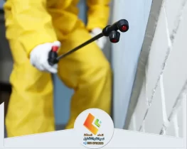 شركة مكافحة حشرات بالرياض