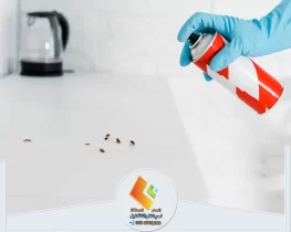 التخلص من الصراصير في المنزل للأبد - خطوات مجربة 100%